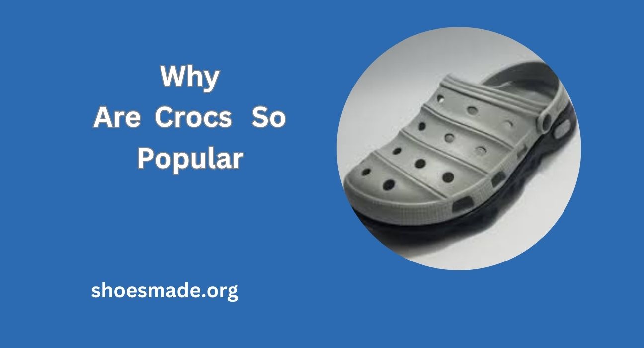 why are crocs so popular