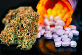 Using Marijuana While Taking Morphine: What You Need to Know