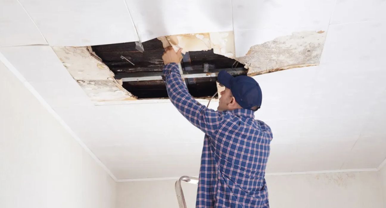 Understanding Ceiling Repair: Causes, Solutions, and Expert Help